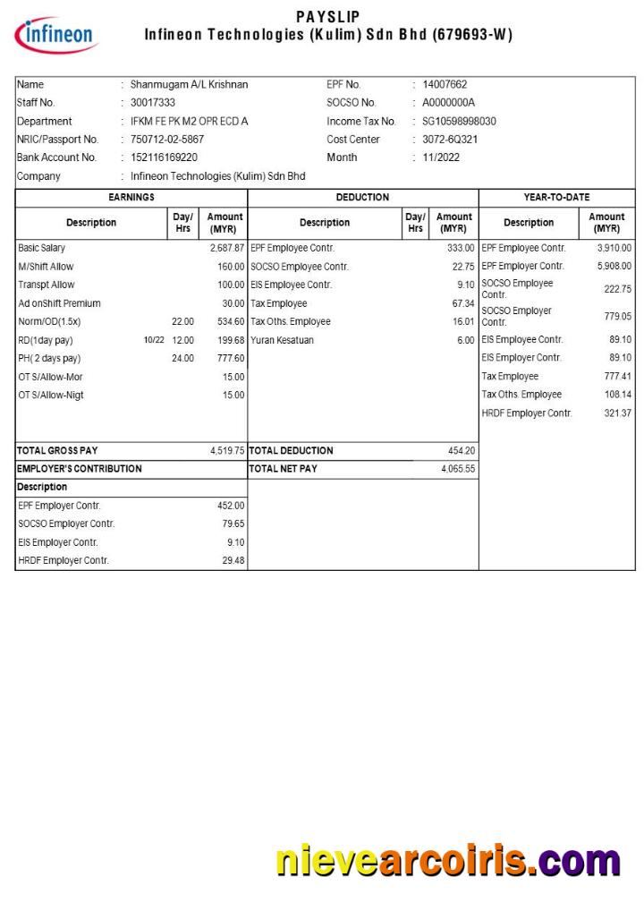 Infineon Technologies payslip